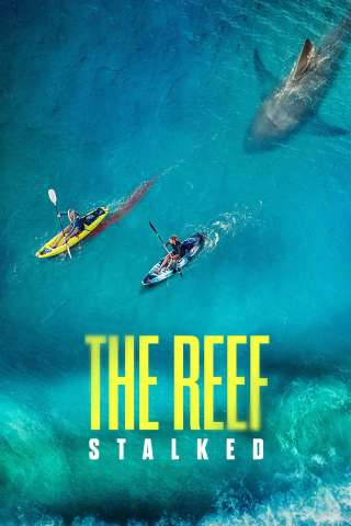 The Reef: intrappolate Streaming